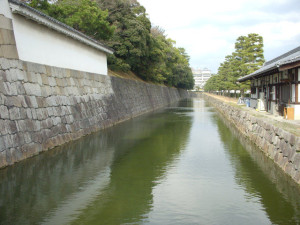 22276447_1021641884_34large