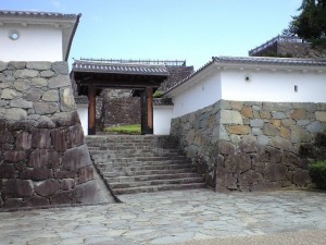 22276447_895651413_1large